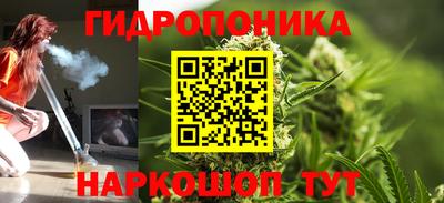 дживик Боровичи